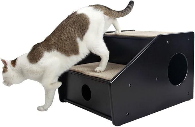 Petsfit 2-Steps Cat Stairs, Nearly Black (21x17x14 inch)