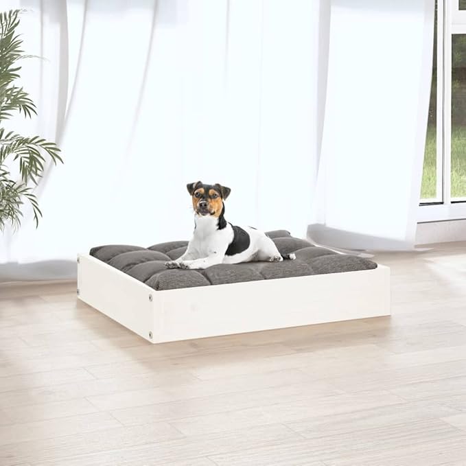 White Solid Pine Wood Dog Bed 20.3x17.3x3.5 Inch - Sturdy Minimalist Pet Sofa for Small Medium Dogs Rustic Raised Dog Crate with Stable Frame - Easy Assembly Indoor Outdoor Use