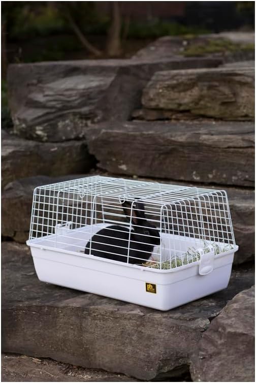 Elegant Escape Small Round Bird Cage with Graceful Design, Durable Metal Construction, Compact Size, and Comfortable Space White