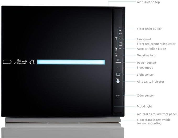 RabbitAir MinusA2 Ultra Quiet HEPA Air Purifier - Stylish, Efficient and Energy Star (SPA-780A, Black, Germ Defense)
