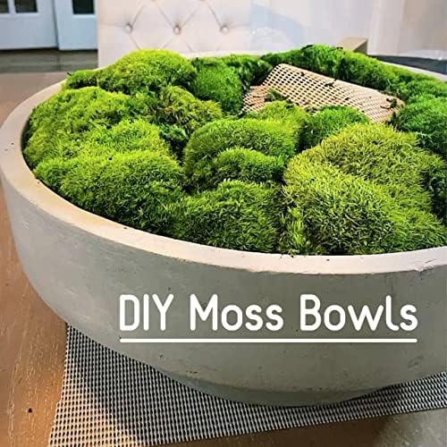 Preserved Pole Moss Pillow Bun Cushion Natural Green Decorative Real Natural Green DIY Kit Terrariums Gardenning Art Wall Decor Florist Decor Easter Table Decor Wedding(12.0 sq.ft., Green-B)