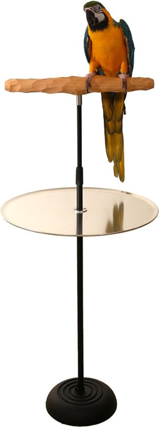 Parrot Training Perch Stand with Potty Tray (T Perch Hardwood, Medium)