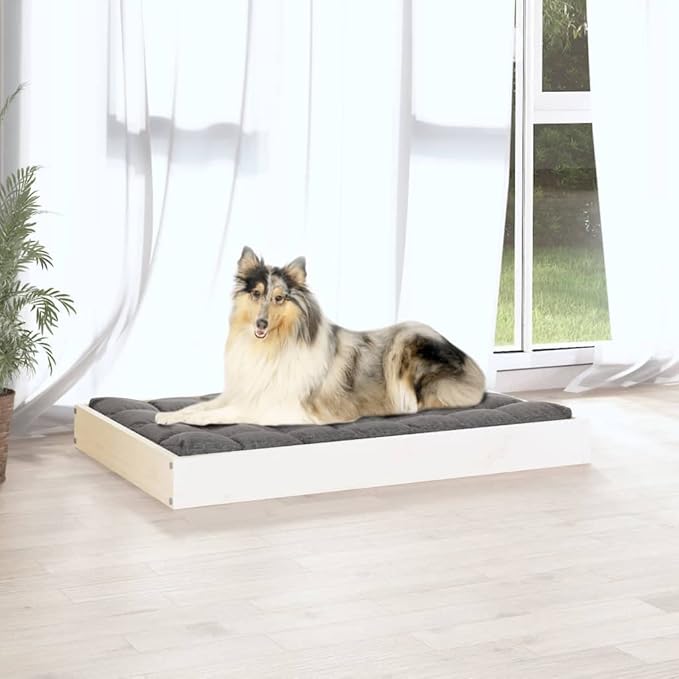 Medium Dog Bed, Modern Minimalist Solid Pine Wood Pet Bed for Indoor Use, Sturdy Raised Wooden Dog Cot, 36 x 25 Inch Rectangular Frame, Matte White