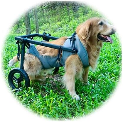 Pet Trolley Adjustable Hind Leg Disabled Dog Mobility Aid Light Rehabilitation Legs Wheelchair Walk Tools(Medium)