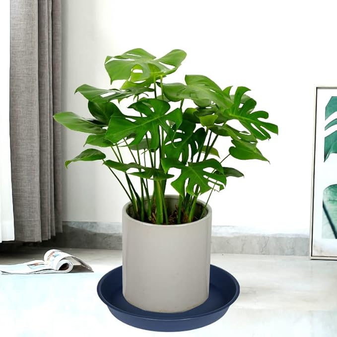 6 Pack of 12 inch Plant Saucer, Heavy Duty Plastic Plant Saucer 12" Round, Durable Plant Tray for Pots, Plant Saucers for Indoors, Plant Trays for Planter (12", Blue)