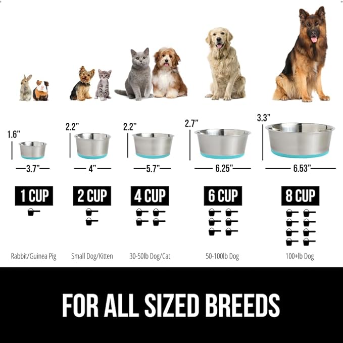 GORILLA GRIP Set of 2 Dog Bowls, Holds 6 Cups (48 fl oz), Heavy Duty Metal Food and Water Bowl for Feeding Dogs and Cats, Dishwasher Safe Rust Resistant Stainless Steel, BPA Free Rubber Base Turquoise