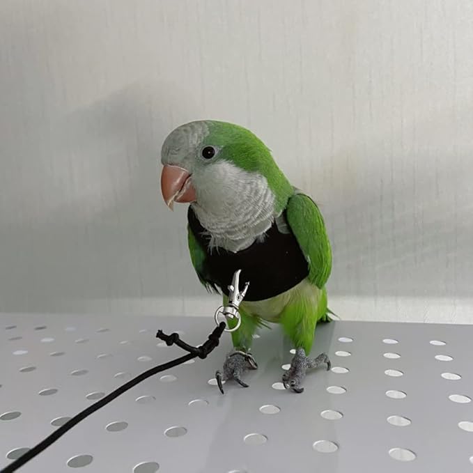Bird Flight Harness Vest, Parrot Flight Suit with Leash for Parakeets Cockatiels Conures Budgies, Bird Flying Clothes with Rope and Handle for Outdoor Activities Training, Anti Bite (X-Small)