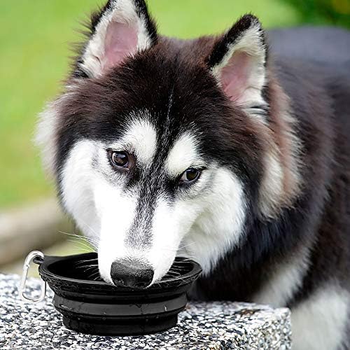 Kytely Large Collapsible Dog Bowls 2 Pack, 34oz Foldable Dog Travel Bowl, Portable Pet Water Food Bowl with Clasp, Pet Cat Feeding Cup Dish for Traveling, Walking, Hiking (Black+Black)