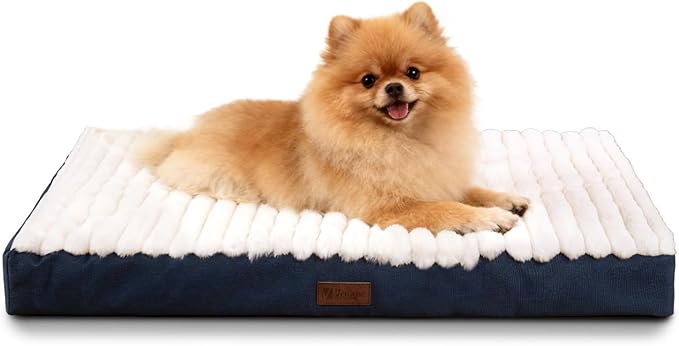 Orthopedic Dog Bed with Firm High-Density Egg Crate Foam Mattress,Soft Short Plush Surface Pet Beds,Machine Washable with Removable Cover & Non-Slip Bottom for Small Breeds(Blue, 23"L x 17"W x 3"H)