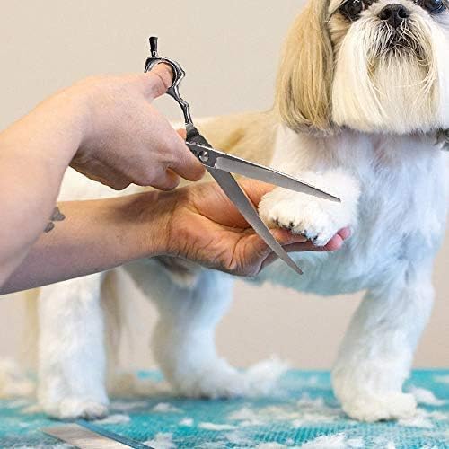 Dream Reach Dog Grooming Scissors - 6.5" Professional Upword Curved Shears for Cats Dogs