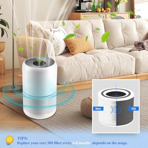 Core 300 Replacement Filter for LEVOIT Core 300/Core 300S/Core300-P Air Purifier, 3-in-1 Filter with H13 True HEPA and Activated Carbon Filter, Part No. Core 300-RF (2 Pack White)