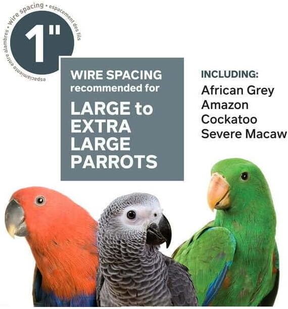 Maykoosh Bird Cage - Stainless Steel Aviary, Spacious & Durable Design