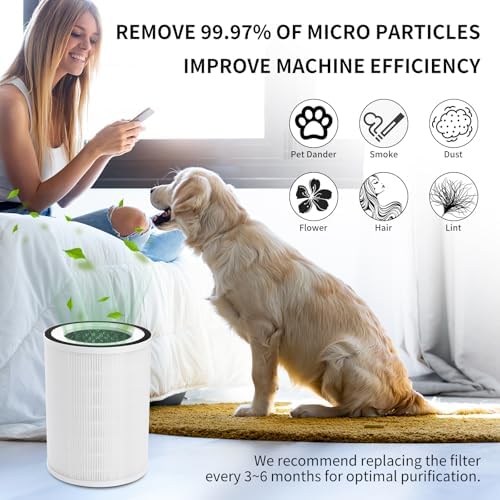 2Pcs Air Purifier Filter Replacement Compatible with Afloia Kilo, KILOPRO, MIRO, MIRO PRO, MORENTO MR-Kilo, Kalo, 360° 3-Stage Filtration
