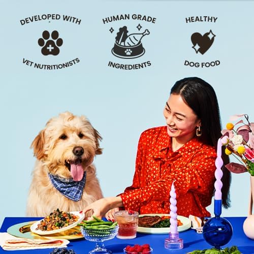 The Pets Table Human-Grade Beef Stew Fresh Dog Food, Dog Food Topper or Complete Meal, 6 Count of 15-oz Pouches, 5.5lbs