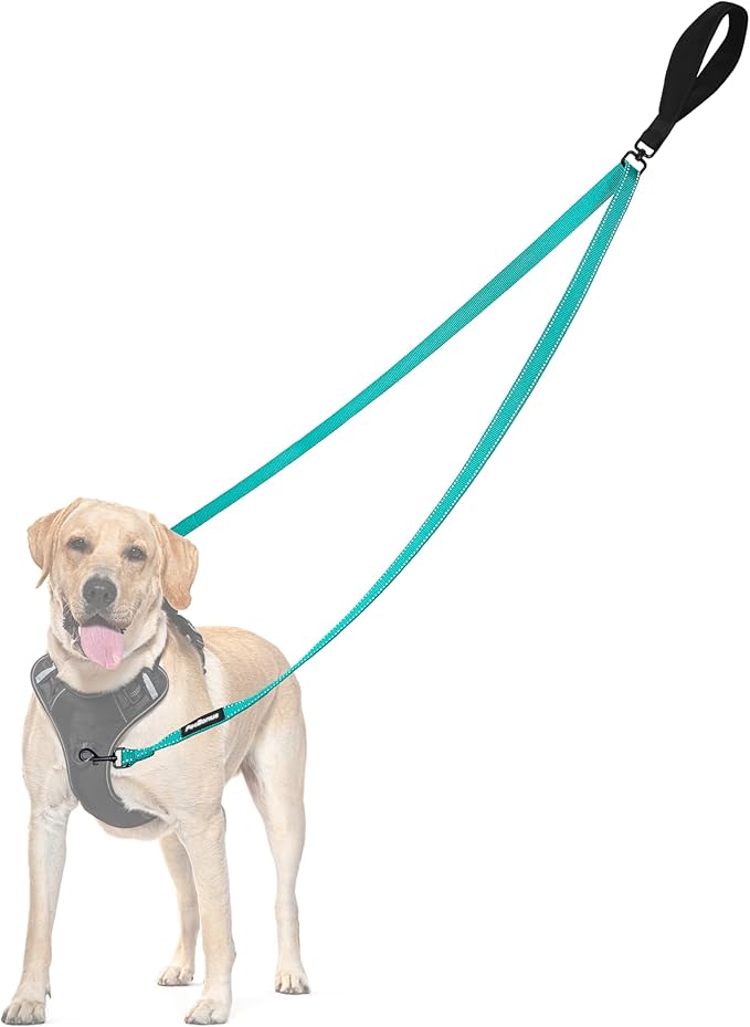 PetBonus Two Point Control Dog Leash, Works with No Pull Harnesses, No Tangle Training Leashes, Soft Padded and Reflective Walking Lead, Converts to Single Lead for Medium Large Dogs (Turquoise)