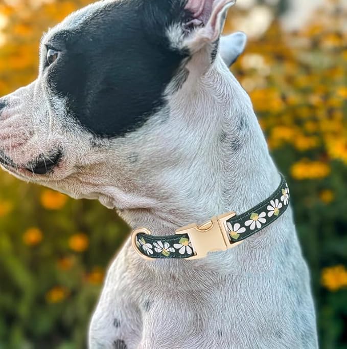 Woven Dog Collar with Metal Buckle Adjustable Jacquard Retro Dog Collars for Small Medium Large Dogs(Green,S)
