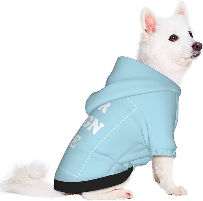 Personalized Dog Hoodie, Custom Dog Costumes for Small Dogs, Holiday Happy Dog Clothes Football Pet Shirt Sweater with Name Number for Girl/Boy Cats/Kitten, LightBlue, L
