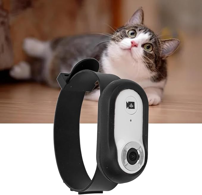 Hd 1080p Mini Pet Collar Camera with 8g Memory Card - Action Camera for Cats & Dogs, Ideal for Outdoor and Indoor Recording White