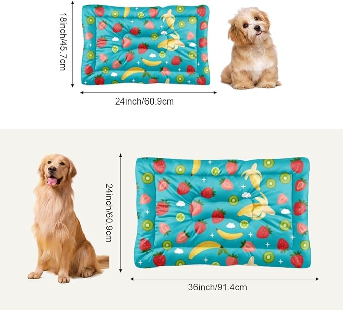 Mixed Fruit Turquoise Blue Pets Bed Dog Bed Mats Pad for Dog Crate Washable Beds for Crates Washable Non-Slip Crate Liner Pad Medium Cage Mat Kennel Accessories Indoor Outdoor 36X24 Inch