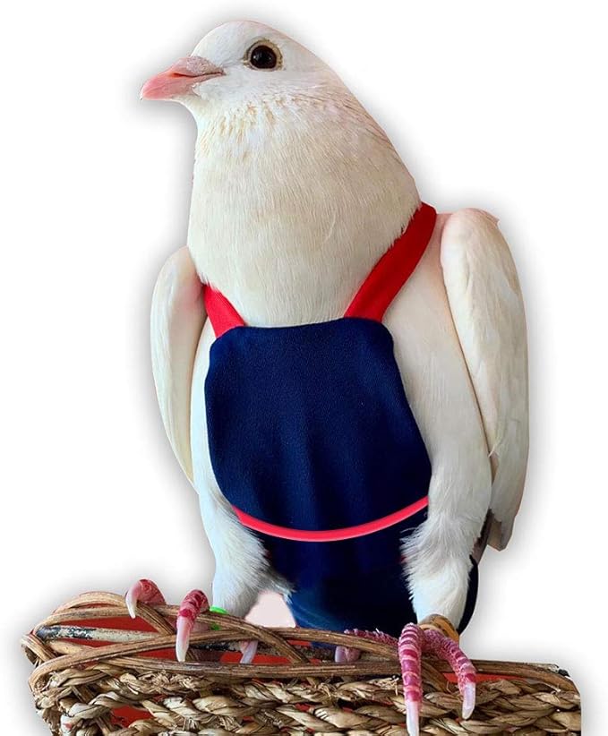 Bev's Bird Boutique Regular Flyper Adjustable Bird Diaper | Reusable, Washable Cloth | Comfort Fit for Parrot, Cockatiels, & Other Small Birds | Fashionable Avian Accessories, Navy & Red, Size 8