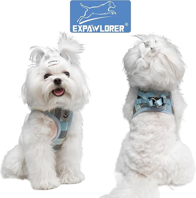 EXPAWLORER Classic Plaid Step in Dog Harness - Small Dog Collar and Leash - Soft Mesh Padded Adjustable Dog Vest Harness No Pull, Reflective Escape Proof for Outdoor Walking, Blue Large