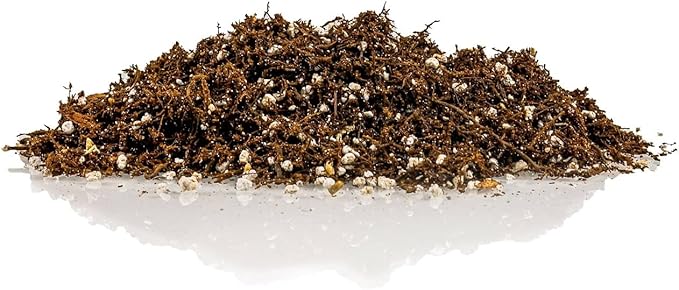Gardenera Fern + Perlite Soil Mix for Repotting and Planting Succulents and Cactuses - 3 Quart Bag