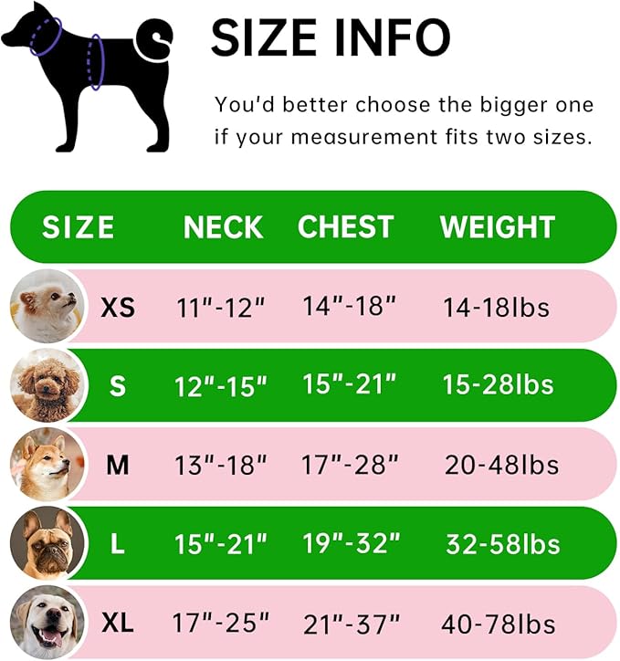 IVY&LANE No Pull Dog Harness for Large Dogs, Dog Vest Harness with Leash, Safety Belt and Storage Strap, Fully Adjustable Harness, 360° Reflective Strip, Soft Handle (Green, XL)