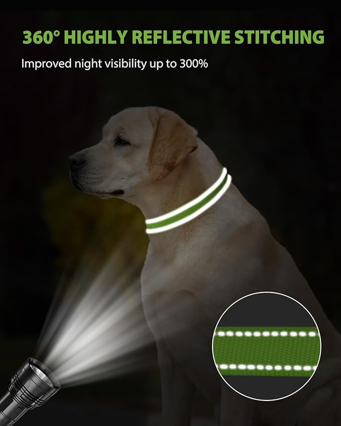 Joytale Large Dog Collar, Reflective and Adjustable Nylon Pet Collar with Quick-Release Buckle for Large Dogs, Green, L
