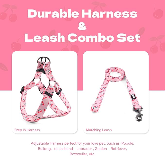 QQPETS Dog Harness Leash Set Adjustable Heavy Duty No Pull Halter Harnesses for Small Medium Large Breed Dogs Back Clip Anti-Twist Perfect for Walking (XS(12"-18" Chest Girth), Sakura Pink)