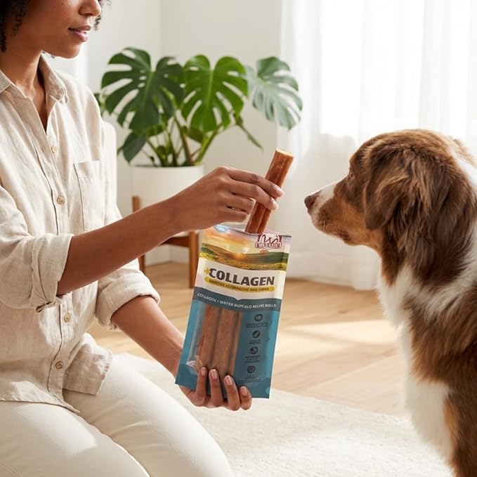 Wild Eats Water Buffalo Flavor Collagen Retriever Style Cheek Rolls 10" Dog Chews-3 Pack (Long Lasting Dog Chews Treats & Bones for Medium Dogs) Substitute for Pig Ears for Dogs