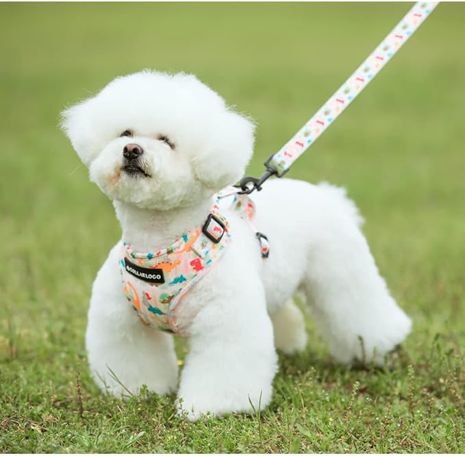 Adjustable Dog Harness and Leash Set for Girl Air Mesh Dog Vest Harness 5Ft Pet Training Leash with Soft Handle Pet Escape Proof for Small Medium Large Dogs (Dinosaur, M)