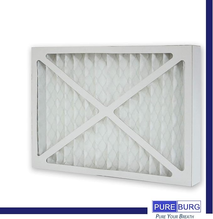 PUREBURG 2-Pack Replacement HEPA Filters Compatible