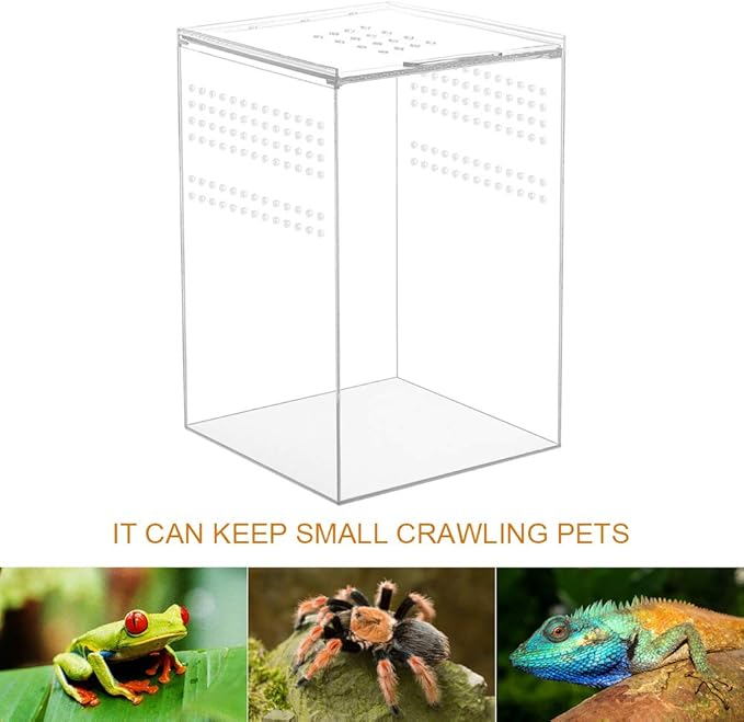 NANEEZOO Magnetic Acrylic Reptile Cage, 6"x6"x9" Tall Enclosure Transparent Reptile Breeding Box Terrarium Tank for Tarantula Scorpion Sling Isopods Invertebrates Insect Mantis