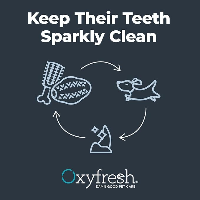 Oxyfresh Dog Dental Chew Toy - Best Dog Teeth Cleaning Toy – A Simple Bite and Brush Toy That Helps Remove Plaque, Cleans Teeth & Freshens Breath Without Brushing - Large