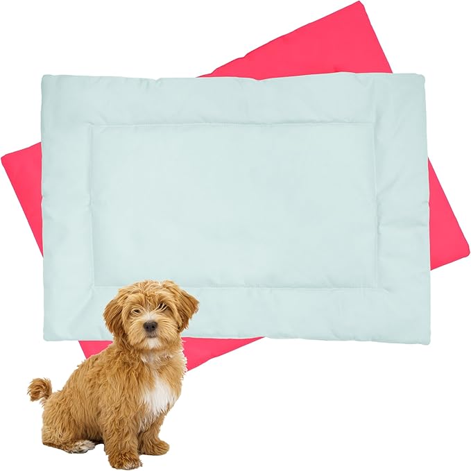 Downtown Pet Supply Dog Crate Pad, 20" x 15" - Waterproof, Ripstop Nylon Dog Crate Mat Chew Proof and Machine Washable - Light Blue and Pink - XS