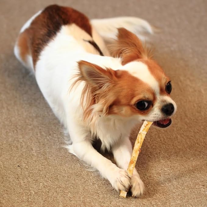 Fieldcrest Farms Nothing to Hide Natural Rawhide Alternative Twist Stix for Dogs - 3 Pack (Chicken, Beef, Peanut Butter) Premium Easily Digestible Chews, Magnet