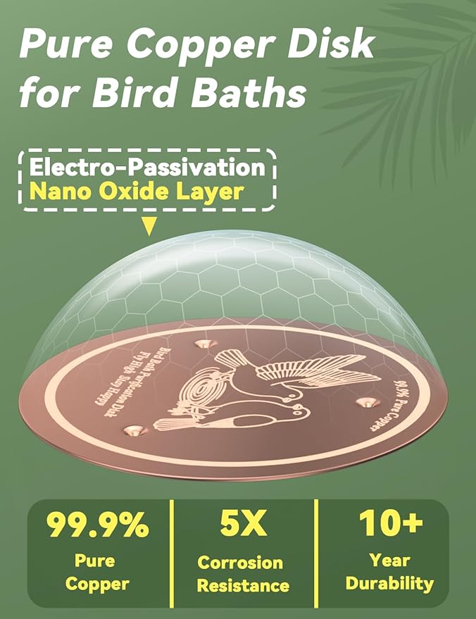 CNARIO 2 Pcs Water Purification Disc for Birdbaths, Bird Baths 99.99% Pure Copper Cleaning Disk, Safe Natural Solution for Bird Bath, 0.6mm Thick with Stable Triple-Point Support