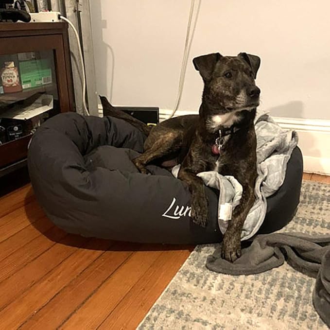 Majestic Pet Personalized 24 Inch Bagel Calming Bed - Washable Cozy Soft Round With Spine Support for Dogs to Rest Their Head - Fluffy Donut 24x19x7 (Inch) - Small - Black