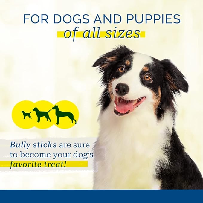 PCI Pet Center, Inc Duck Quackers and Bully Sticks Dog Treats Bundle, 1 lb Container & 10 Count Bag