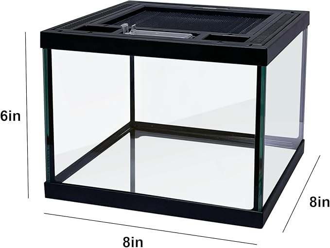 Mini Reptile Glass Terrarium Tank 8 * 8 * 6" Full View, Amphibians Box Habitat Enclosure Cage for Frog,Spiders,Dubia Cockroach,Praying Mantis,Cricket,Tarantula,Hermit Crab