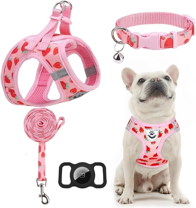 EXPAWLORER Small Dog Harness and Leash Set - Cute Puppy Harness Leash Dog Collar with AirTag Holder Silicone Case, Soft Padded Step in Pet Vest Reflective for Outdoor Walking, Strawberry XS