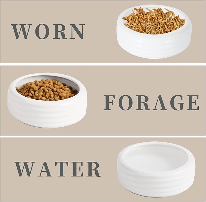 Reptile Food Bowls Ceramic Round Reptile Water Food Dish, Pet Food Bowl for Lizards, Small Snakes, Young Bearded Dragons, Gecko Tortoise Spider (White, Large-2Pack)