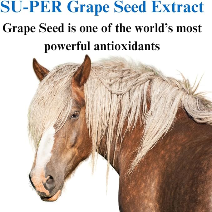 SU-PER Grape Seed Extract Horse Antioxidant - Equine Antioxidant Supplement for Performance Horses - Supports Circulation Respiratory Health & Immune System - 12.5 Pounds, 6 Month Supply
