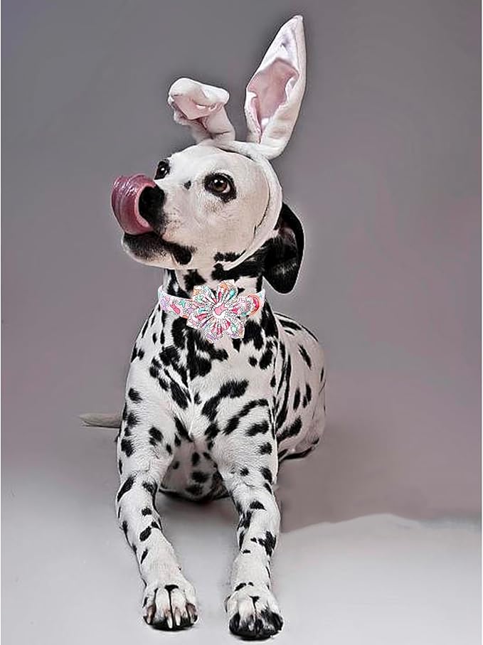 Lionheart glory Easter Day Dog Collar with Flower Dog Collar for Small Dogs, Rabbits Colorful Dogs Collars Flowers Spring Collars Puppy Flowers