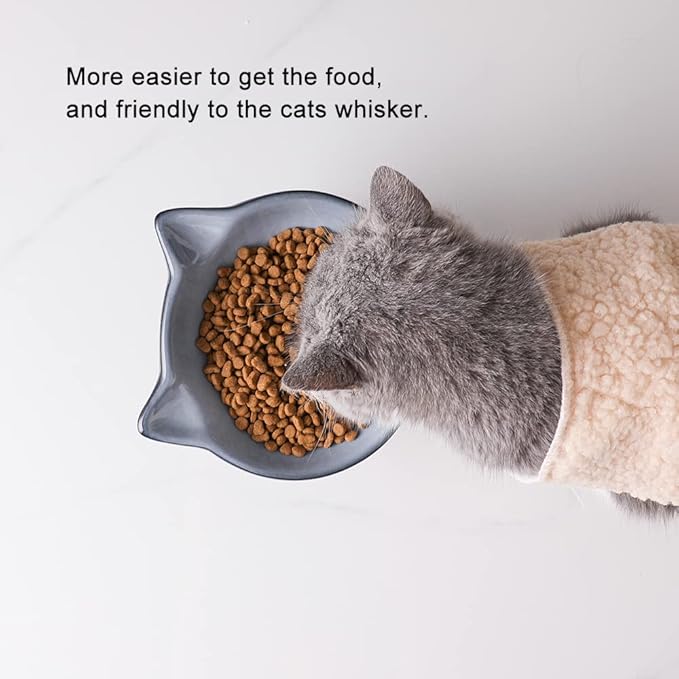 Nihow Elevated Cat/Dog Bowls Set : 6.2 Inch Ceramic Raised Cat Food & Water Bowl Set for Protecting Pet's Spine - Feeding & Watering Supplies for Cat/Small Size Dog - Elegant Gray(2PC)
