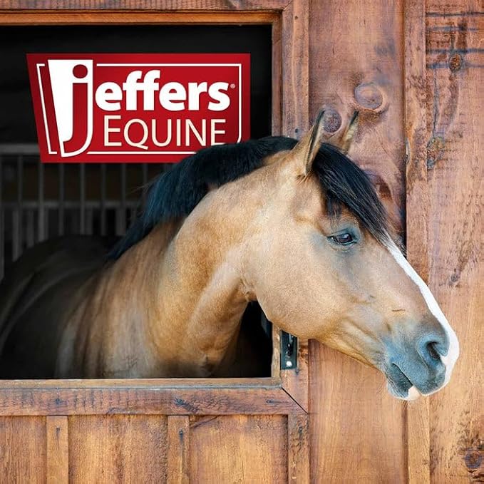 Jeffers Equine No-Rinse Waterless Horse Shampoo – Alcohol Free Grooming Spray for Horses, Ponies, Pets & Livestock – Removes Dirt, Odor & Sweat – Spot Cleaner for Coat, Barn, Trail Use. 16 oz