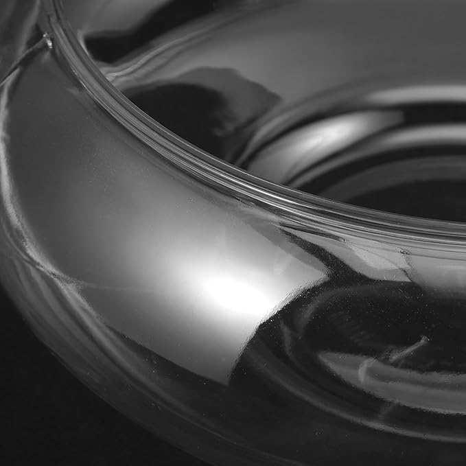 GANAZONO Clear Fish Bowl Vase Bubble Round Planter Terrarium Fish Bowl Aquatic Plant Pot Daffodil Pot Hydroponic Planter Tank Aquarium