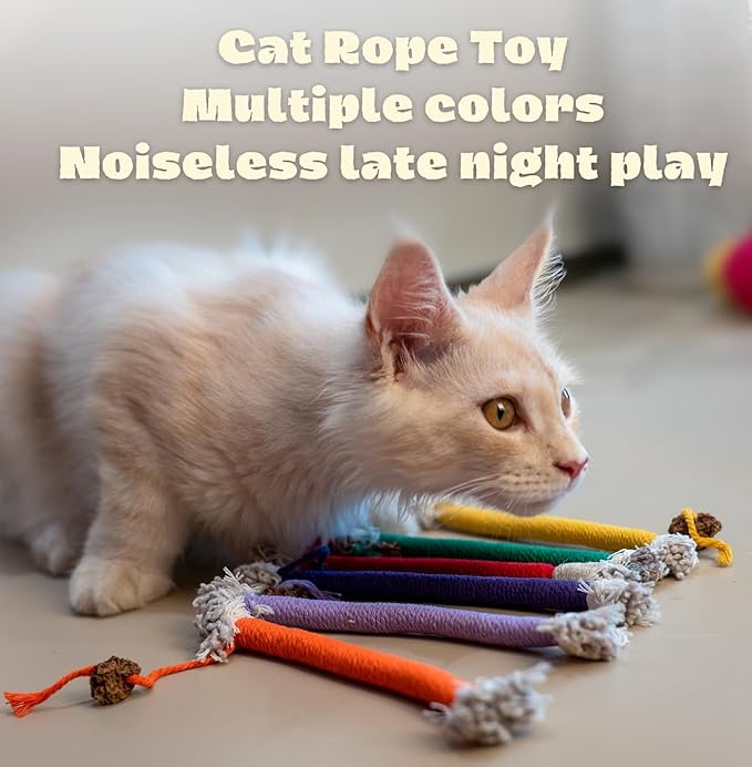 Bent Cat Rope Toy, Pet Chew Toys, Interactive Tease Toys for Cats and Kittens, Bite-Proof Playthings, Cotton Rope Kitten Toys Dental Care Stress Relief Pet Supplies (Medium 6 Pack)