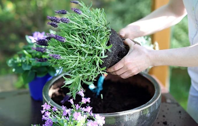 Gardenera Organic Moisture Control Potting Mix - Absorbs 33% More Water Than Basic Potting Soil - 1 Quart