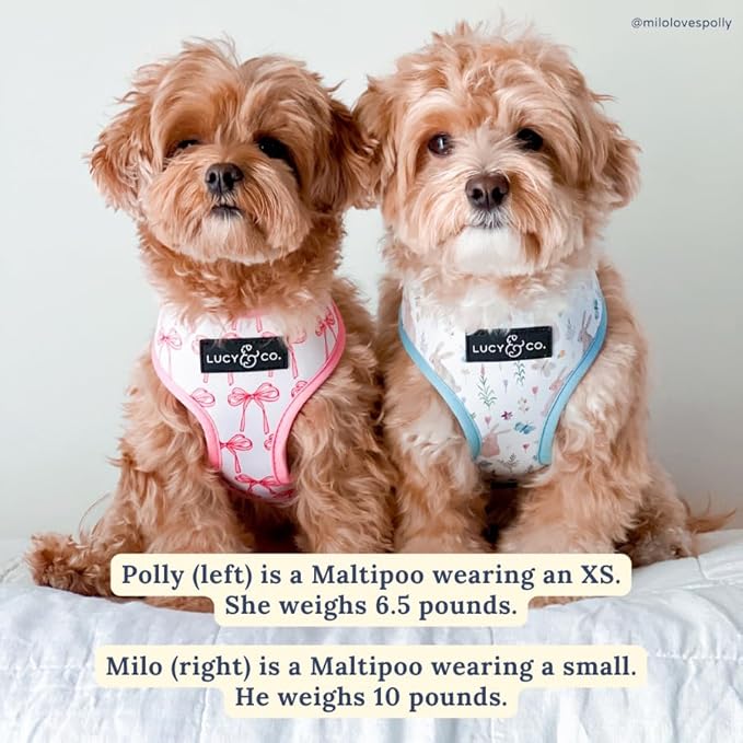 Lucy & Co. Cute Reversible Dog Harness Walking Halter - Best Designer Pet Harnesses for XS - XL Dogs - Padded Adjustable Vest for Easy Walking (Large, Ballet Bows - White & Pink Bows)
